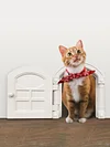 Pet Door, Cat Door, Side Opening with Handle, Lockable, Easy Installation, Suitable for Cats Up to 9 kg/20 lbs