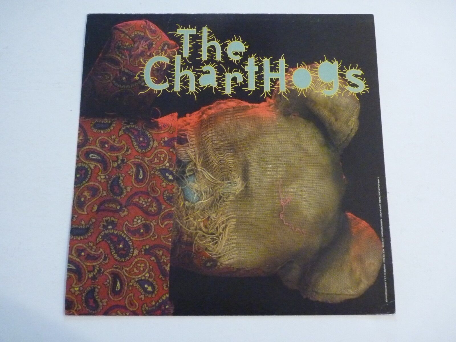 The Chart Hogs 1993 Promo LP Record Photo Poster painting Flat 12x12 Poster