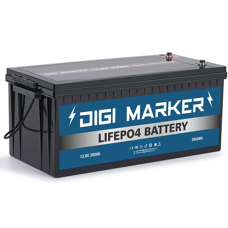 24V 100Ah LiFePO4 Deep Cycle Rechargeable Battery, 2500-7000 Life Cycles &  10-Year lifetime, Built-in BMS