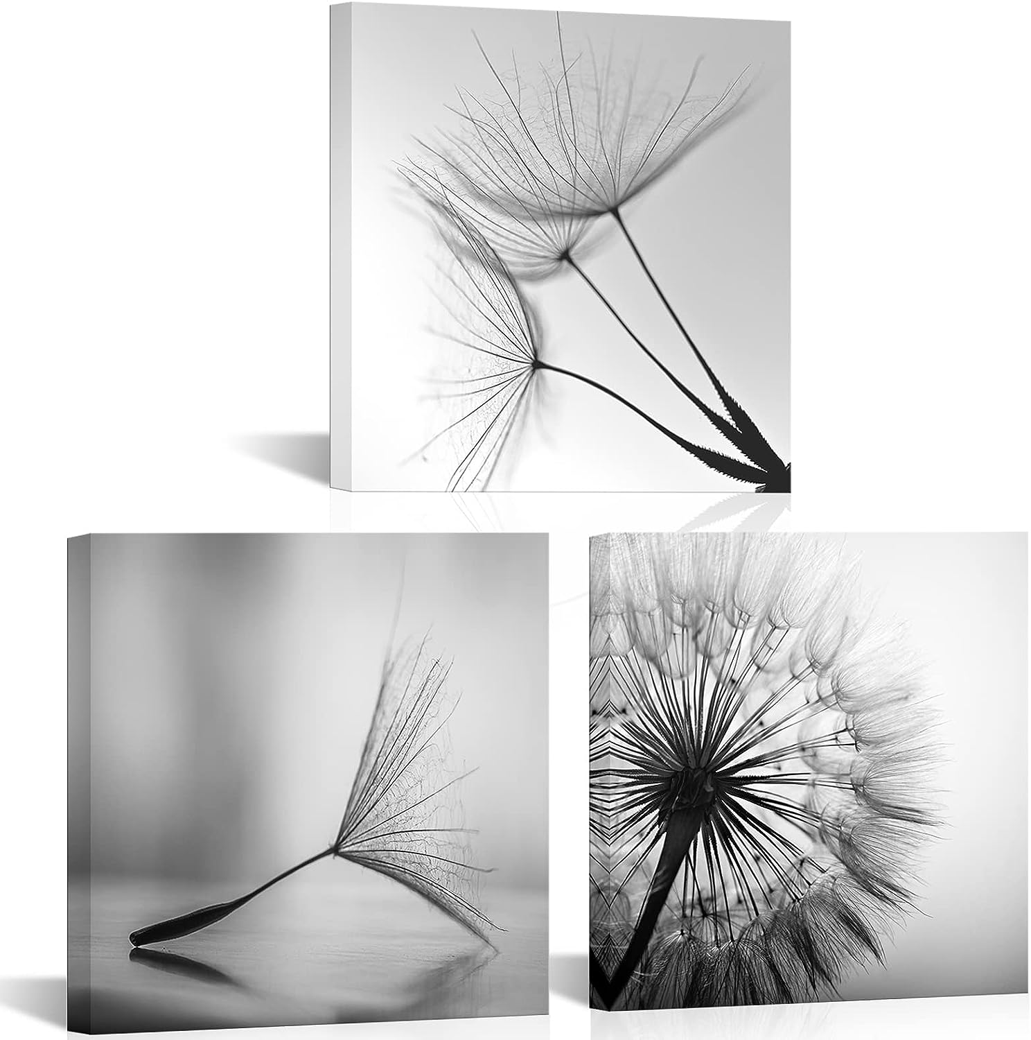 TiuAuiT 3 Pieces Black and White Canvas Wall Art Small Size Dandelion Picture Framed Artwork Flower Painting Prints for Kitchen Bedroom Living Room 12 inch x12 inch x3pcs