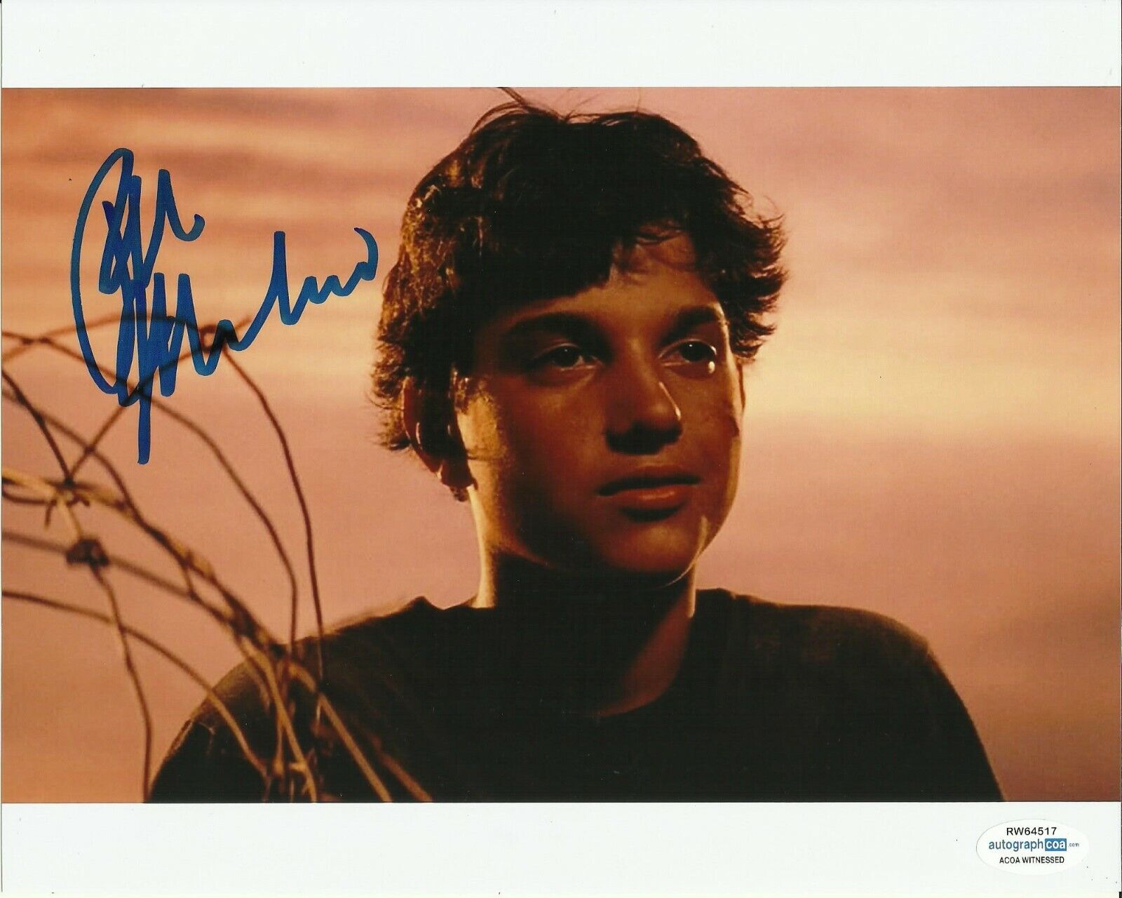 RALPH MACCHIO SIGNED YOUNG Photo Poster painting UACC REG 242 (1) ALSO ACOA CERTIFIED