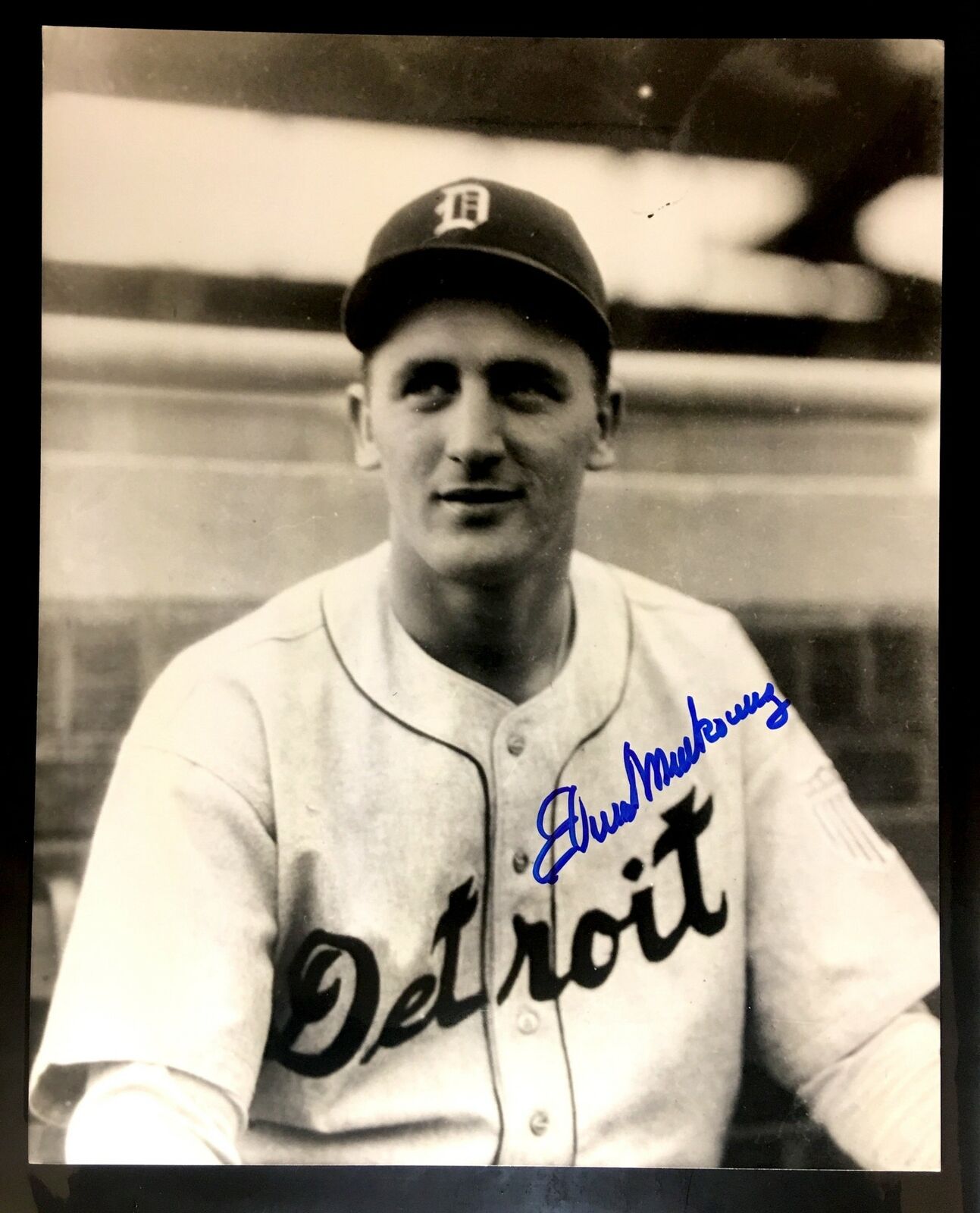 Ed Mierkowicz Signed 8x10 Photo Poster painting Detroit Tigers St. Louis Cardinals Autograph