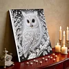 (Pre-Framed)White Owl-Special Shape Diamond Painting Kit(25x25cm)