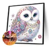 Chouette chauve-partielle spécial diamant peinture-30 * 30cm