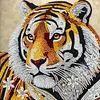 Framed Diamond Painting - Special Shaped - Tiger(25x25cm)