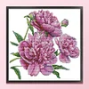 Peony-14CT Stamped Cross Stitch 31*30cm/12.2*11.81in tapestrymarket