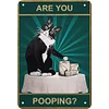 Cat Are You Pooping - Vintage Metal Signs - 20*30cm/30*40cm