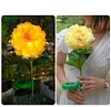 Solar Garden Decorative Light LED Rose Shape Stake Light for Garden Yard Backyard Waterproof