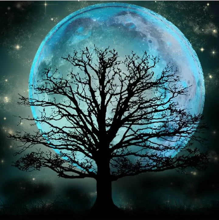 Diamond Painting - Full Round - Moon Tree