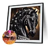 Wundersch&ouml;nes schwarzes Pferd - speziell geformtes Diamantgem&auml;lde - 30*30cm