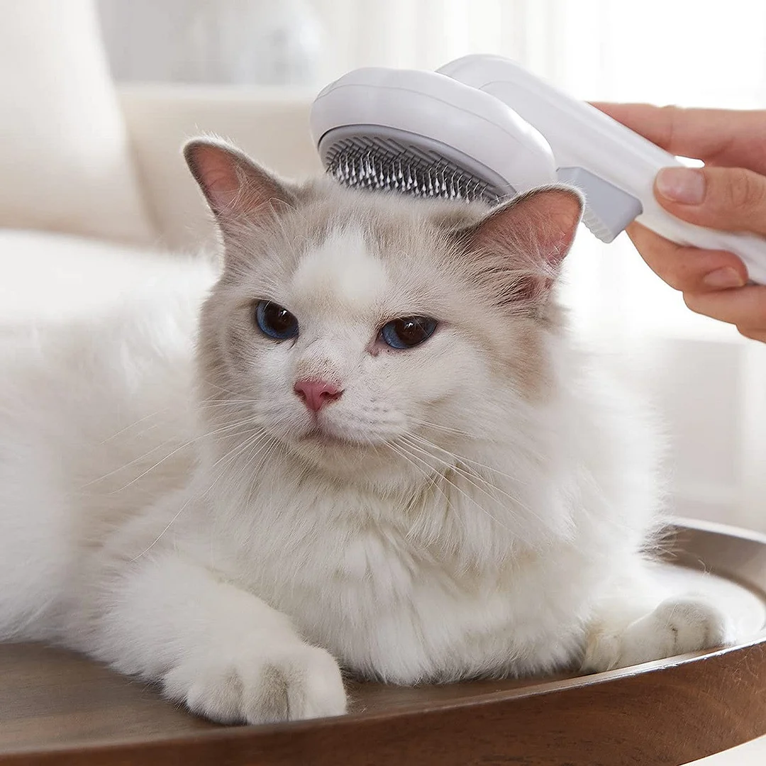 Bazeec™Massaging Pet Brush