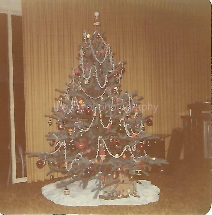 Christmas Tree FOUND Photo Poster painting ColorOriginal Snapshot VINTAGE 03 11 B