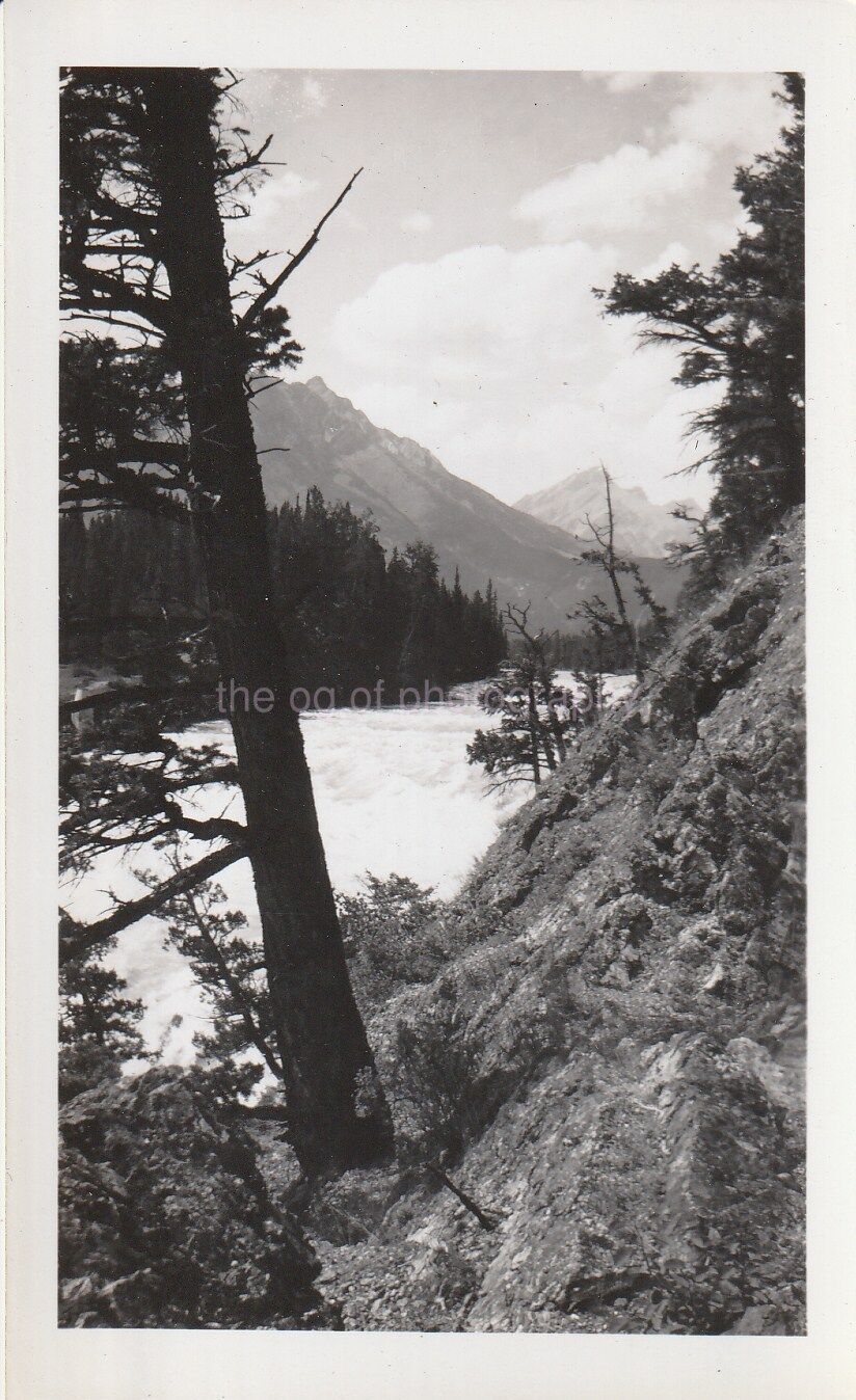 PURE WILDERNESS Found Photo Poster painting Original B and W SnapshotDD 811 11 Y