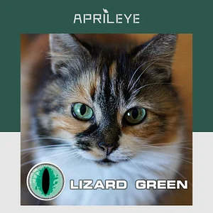 Aprileye Lizard Green