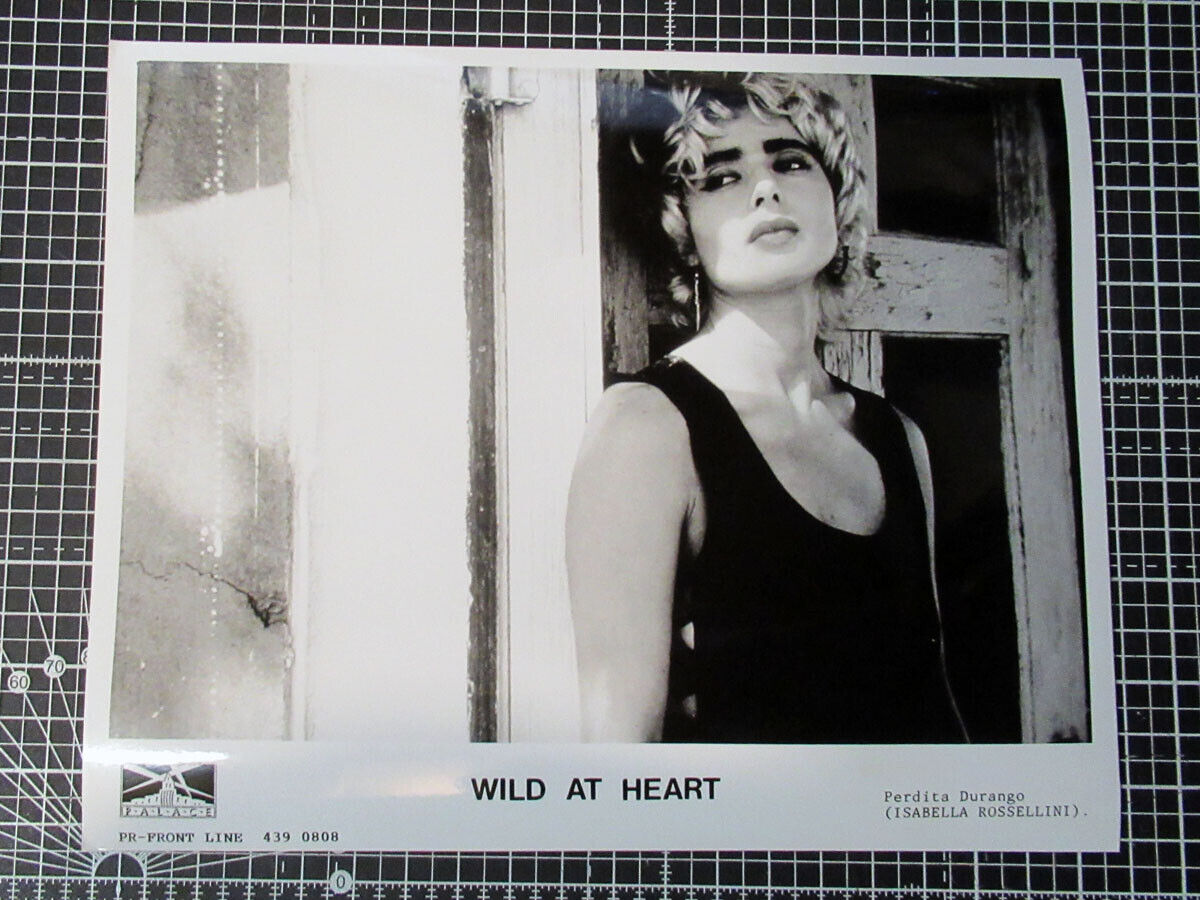 Isabella Rossellini ORIGINAL press Photo Poster painting 8x10 inch Wild at Heart