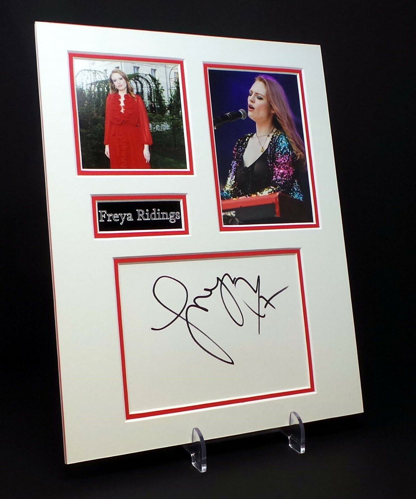 Freya RIDINGS Signed Mounted Photo Poster painting Display AFTAL COA Castles Singer