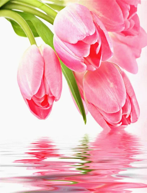 Diamond Painting - Full Round/Square Drill - Flower(30*40 - 50*60cm)