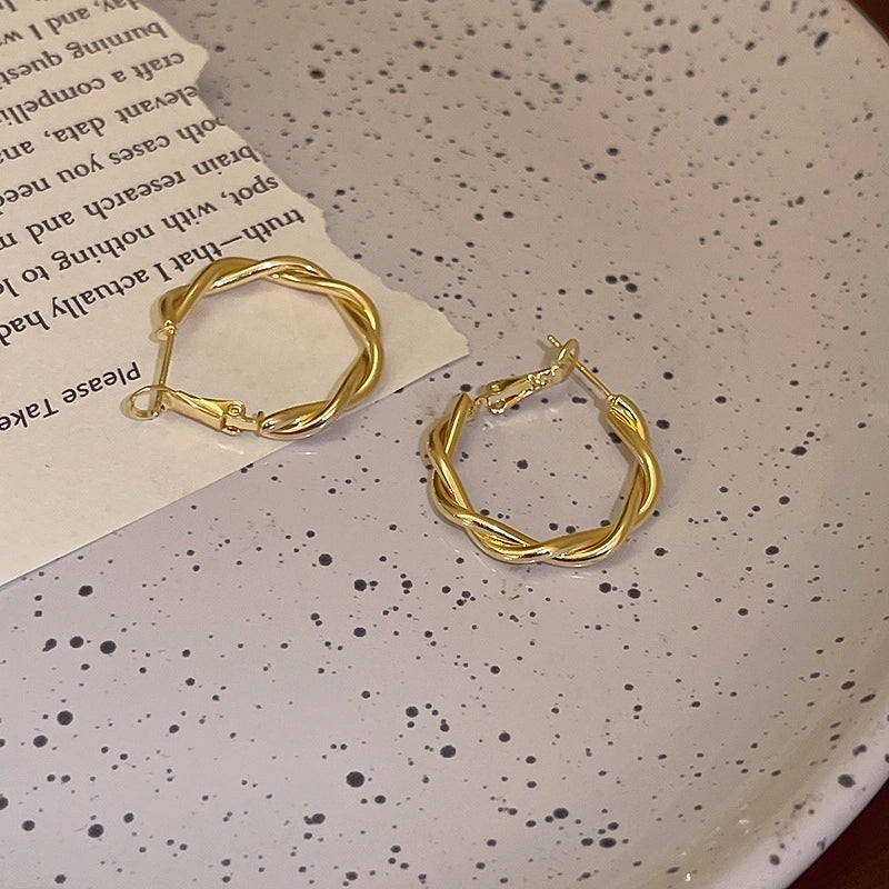 Silver Needle  Exaggerated Lovely Earrings Light Luxury High-grade Niche Earrings Fashion Metal Temperament Earrings For Women