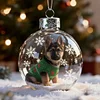 Christmas Day Dog SnowBall Globe Ornaments Decration Family Gift