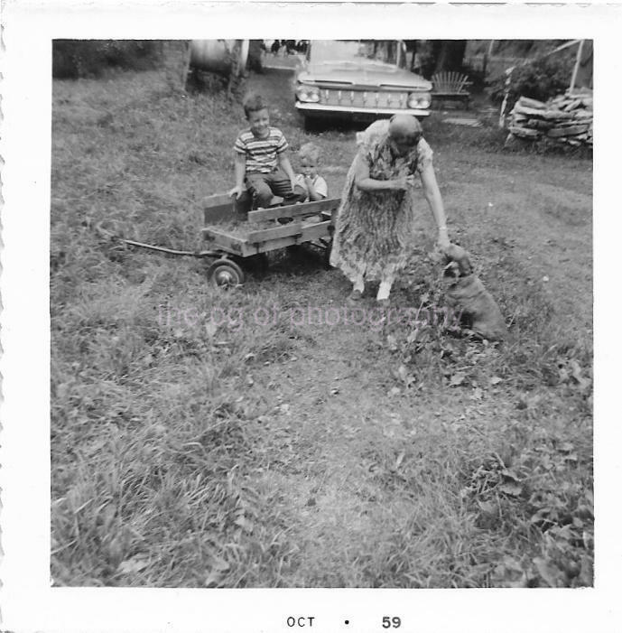 A MOMENT IN TIME Vintage 1950's FOUND Photo Poster paintingGRAPH bw DOG Original Snapshot 09 10