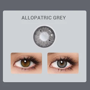 Aprileye Allopatric Grey