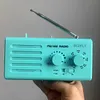W906 Portable Analog FM/AM Dual-Band Radio