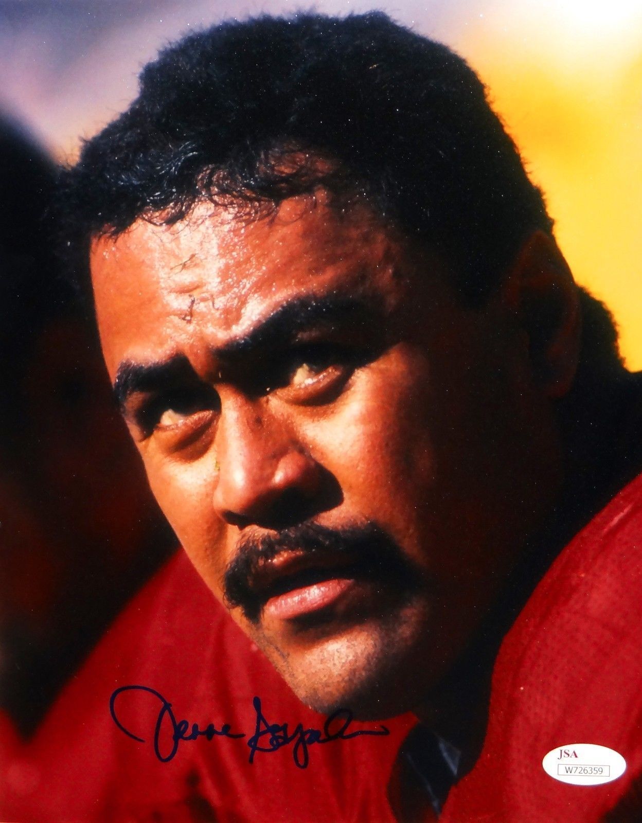 Jesse Sapolu Autographed 49ers 8x10 Close Up Photo Poster painting- JSA W Authenticated