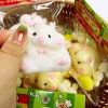 Squishy Hamster Stress Anxiety  Relief Toy (Do Not Take Out From Bag)
