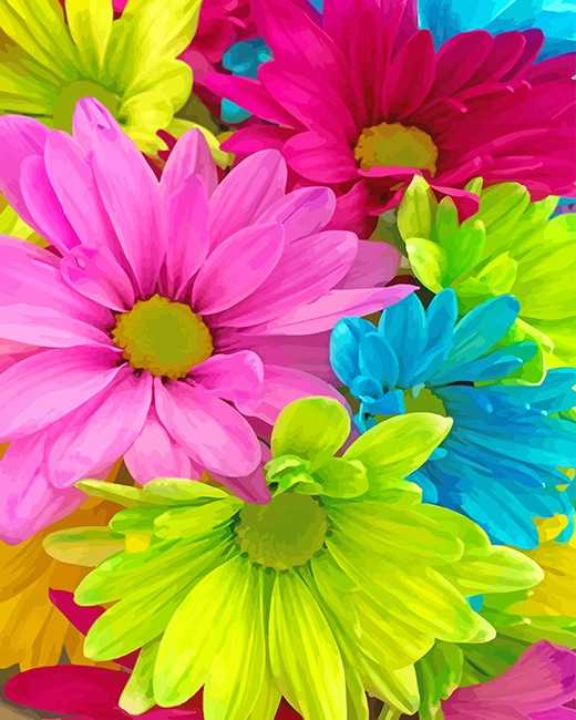 

Colorful Flowers – Paint By Numbers - 40*50CM, 501 Original