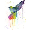 Hummingbird Color | Full Round Diamond Painting Kits