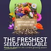 Wildflower Seeds Butterfly and Humming Bird Mix  23 Species 7,500 Seeds Packet