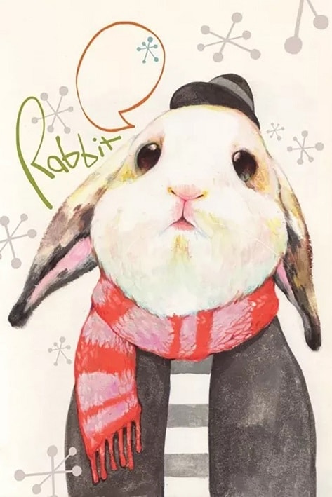 

Little White Rabbit – Paint By Numbers - 40*50CM, 501 Original