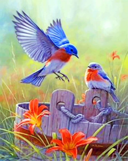 

Blue Birds – Paint By Numbers - 40*50CM, 501 Original