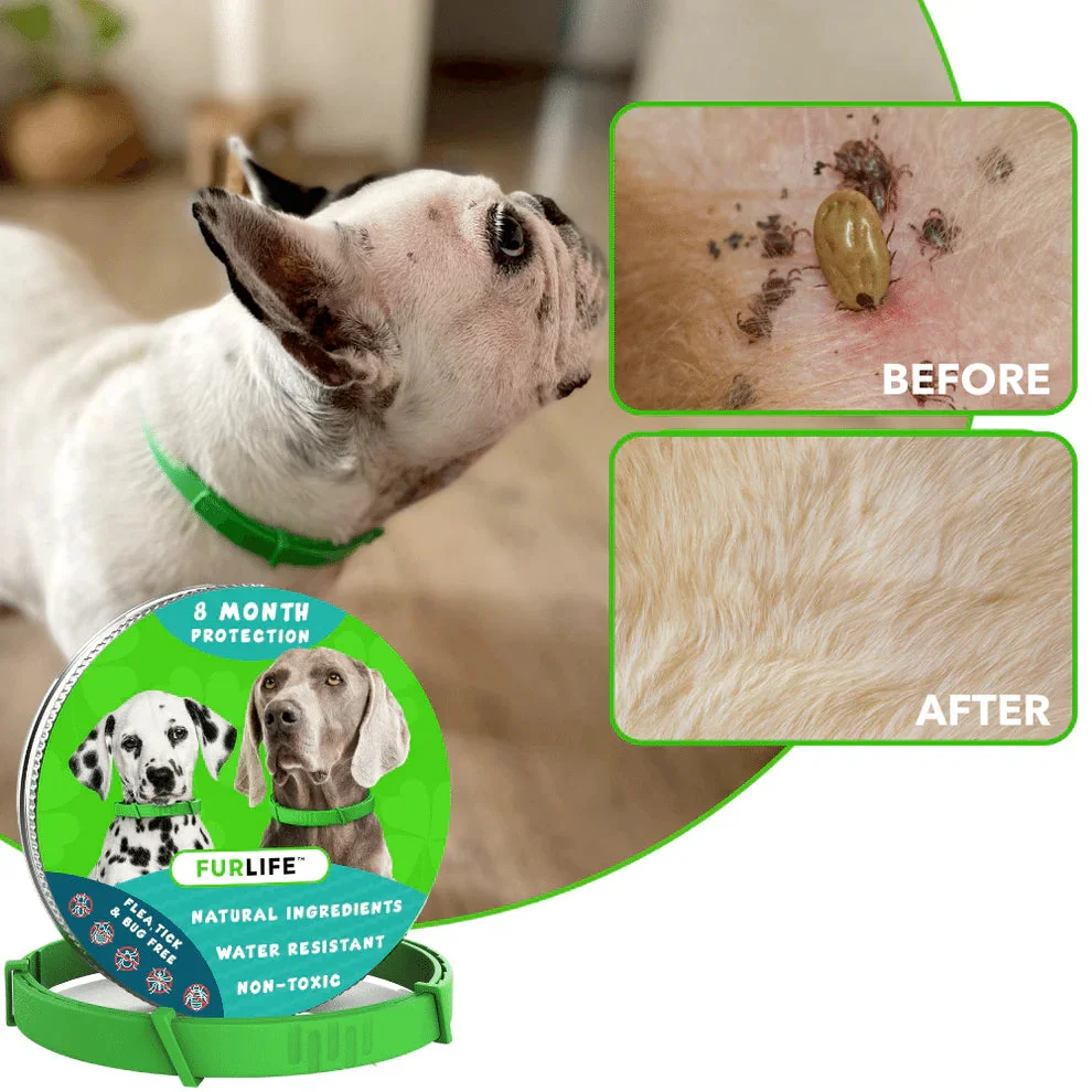 🔥Hot Sale 49% Off🔥FurLife 8-Month Flea and Tick Protection Collar