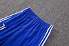 Joyfball 2026/2027 Juventus Half-Pull Training Suit Electric blue Football Shirt 1:1 Thai Quality
