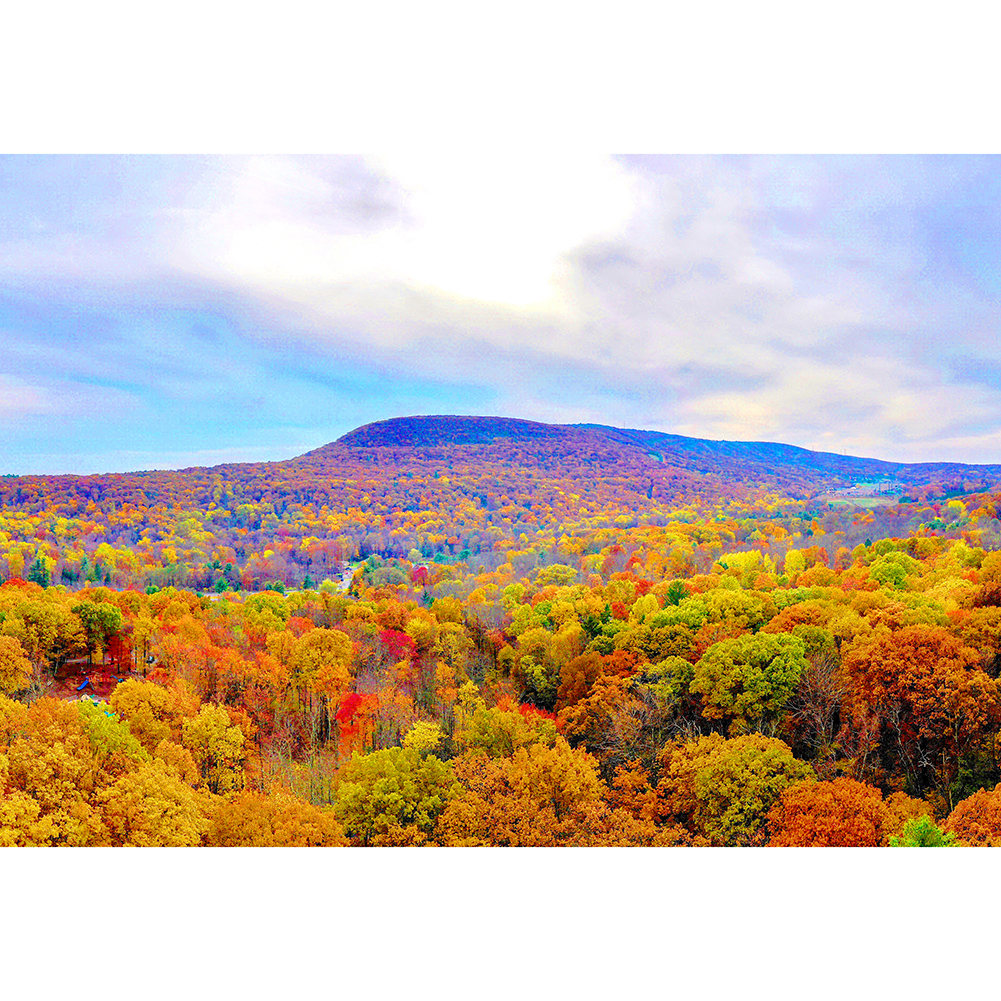 

Nature Landscape - 1000 Pieces Jigsaw Puzzle, 501 Original
