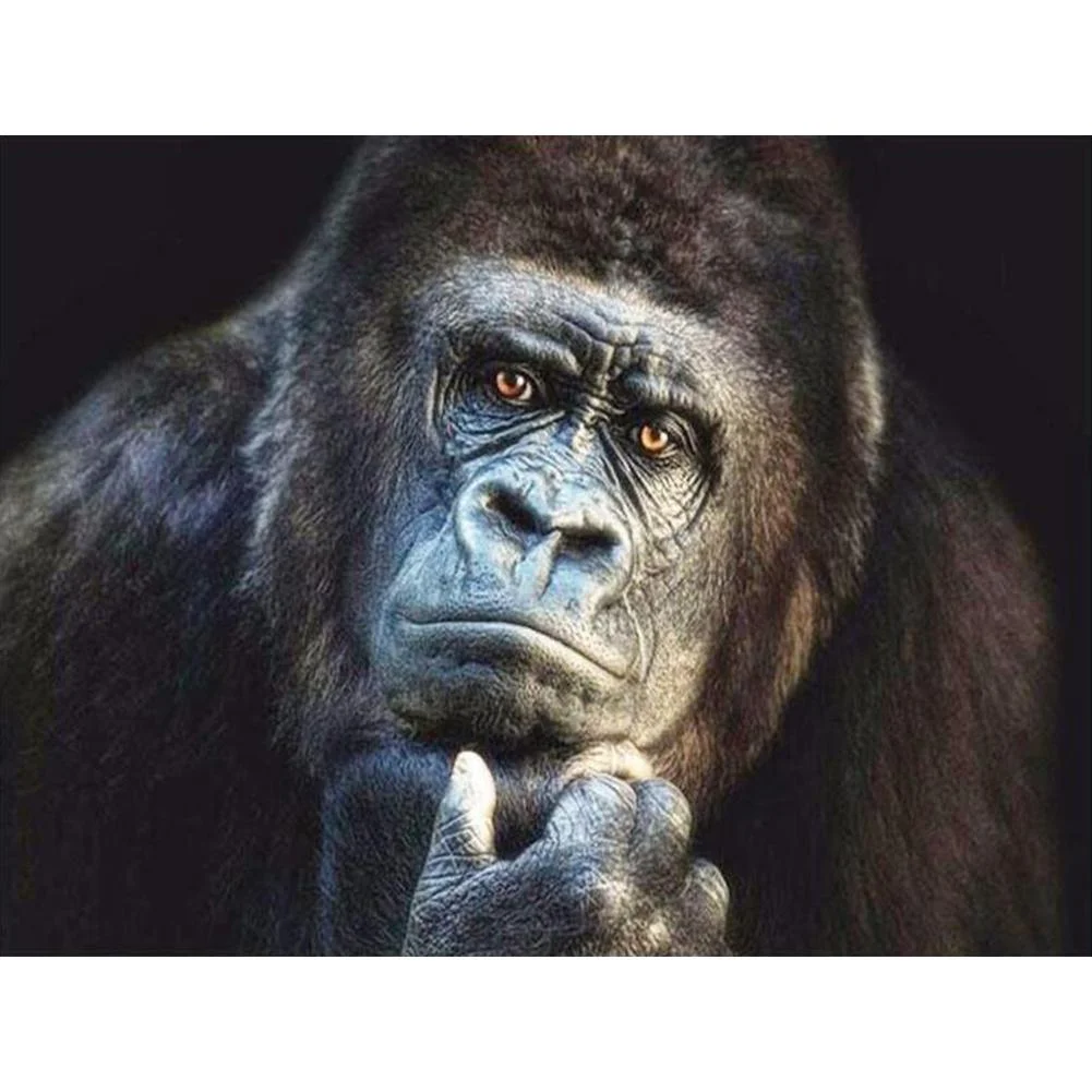Full Round Diamond Painting Gorilla (40*30cm)