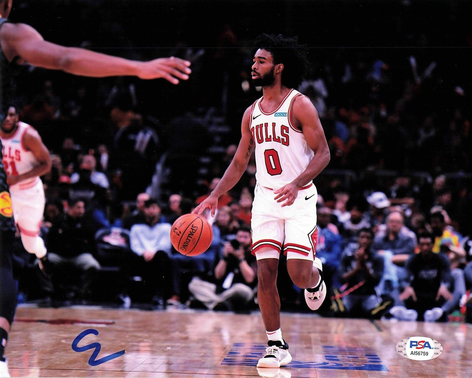 Coby White signed 8x10 Photo Poster painting PSA/DNA Chicago Bulls Autographed