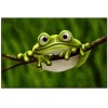 Frog | Full Diamond Painting KitsFull Round