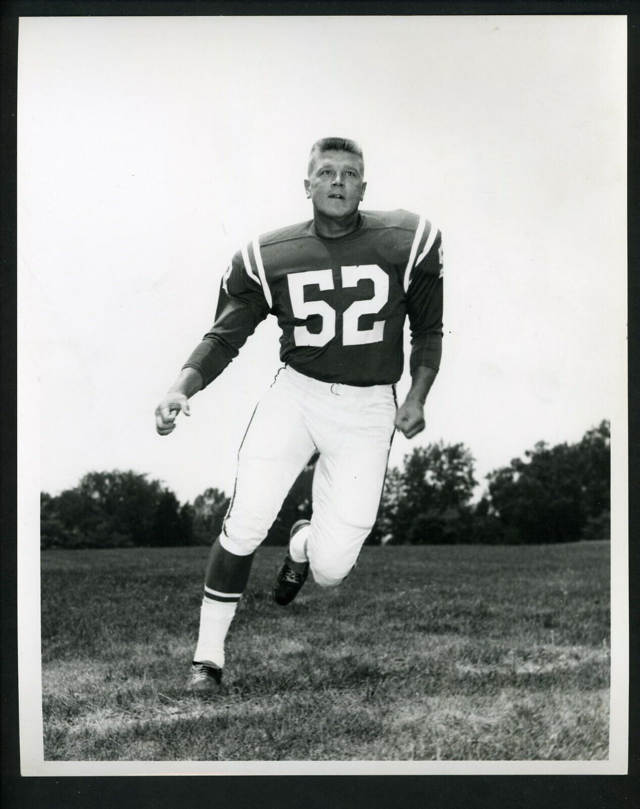 Dick Szymanski Baltimore Colts Team Issued 1963 Press Photo Poster painting