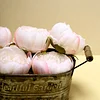 10 Pack | 3" Blush Rose Gold Artificial Silk DIY Craft Peony Flower Heads