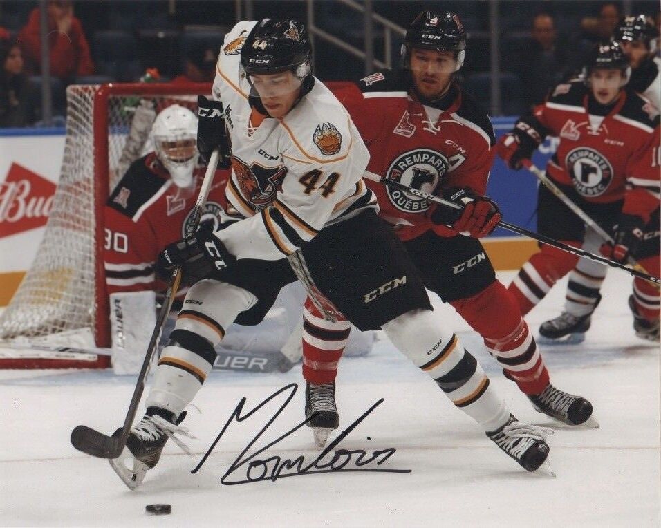 Victoriaville Tigres Maxime Comtois Autographed Signed 8x10 Photo Poster painting COA A