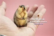 Mr.Z  MRZ054 1/6 Cavia Porcellus Marmota Model Cute Animal Statue Scene Home Decor Toy-aliexpress
