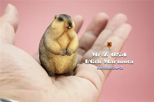 Mr.Z  MRZ054 1/6 Cavia Porcellus Marmota Model Cute Animal Statue Scene Home Decor Toy-aliexpress