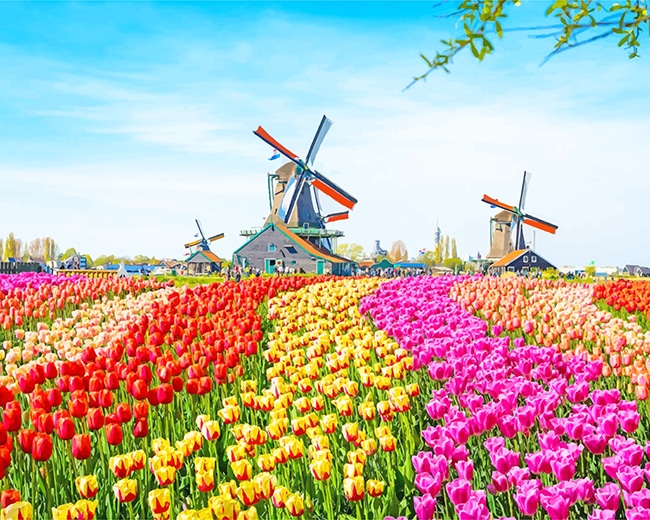 

Field Colorful Tulip – Paint By Numbers - 40*50CM, 501 Original