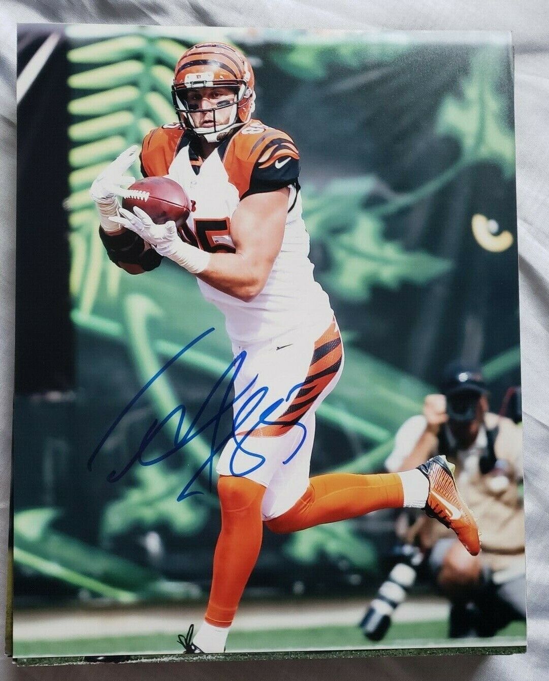 TYLER EIFERT CINCINNATI BENGALS SIGNED AUTOGRAPHED 8X10 Photo Poster painting COA FOOTBALL 2