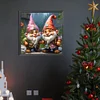 (40*40cm)Gnome - Round Partial AB Drill Diamond Painting