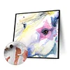 uk.everydayedeals (Limited Stock)Paint By Number - Oil Painting -  Horse (40*40Cm)