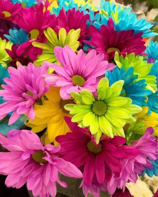 

Colorful Daisies Flowers – Paint By Numbers - 40*50CM, 501 Original