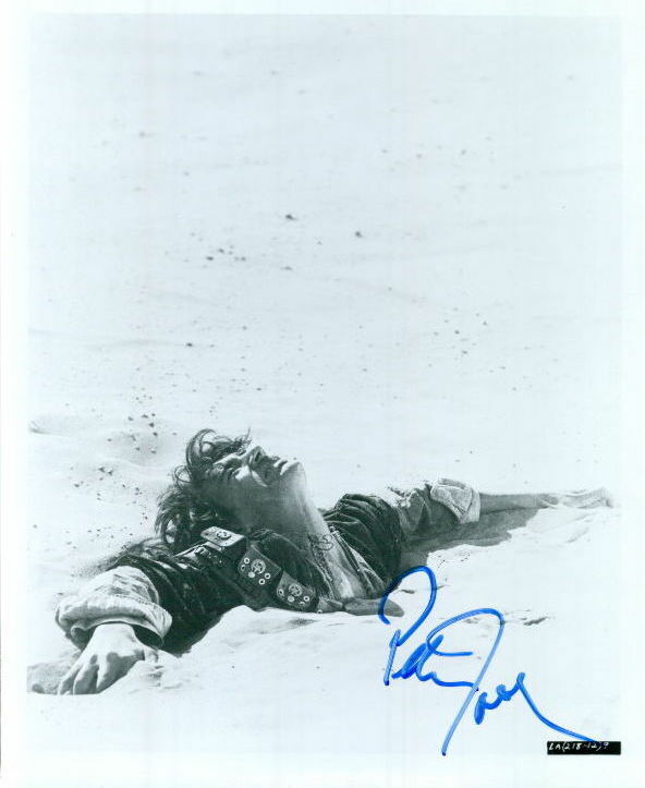 Peter O'Toole (Lawrence of Arabia) in-person signed 8x10 Photo Poster painting